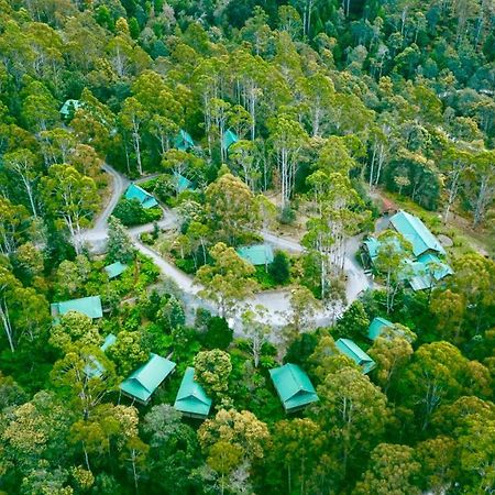 Lemonthyme Wilderness Retreat Hotel Moina Ngoại thất bức ảnh