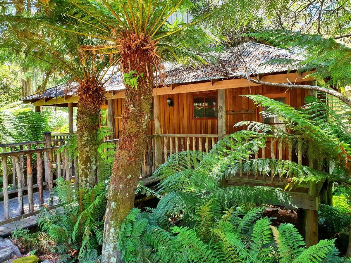 Lemonthyme Wilderness Retreat Hotel Moina Ngoại thất bức ảnh