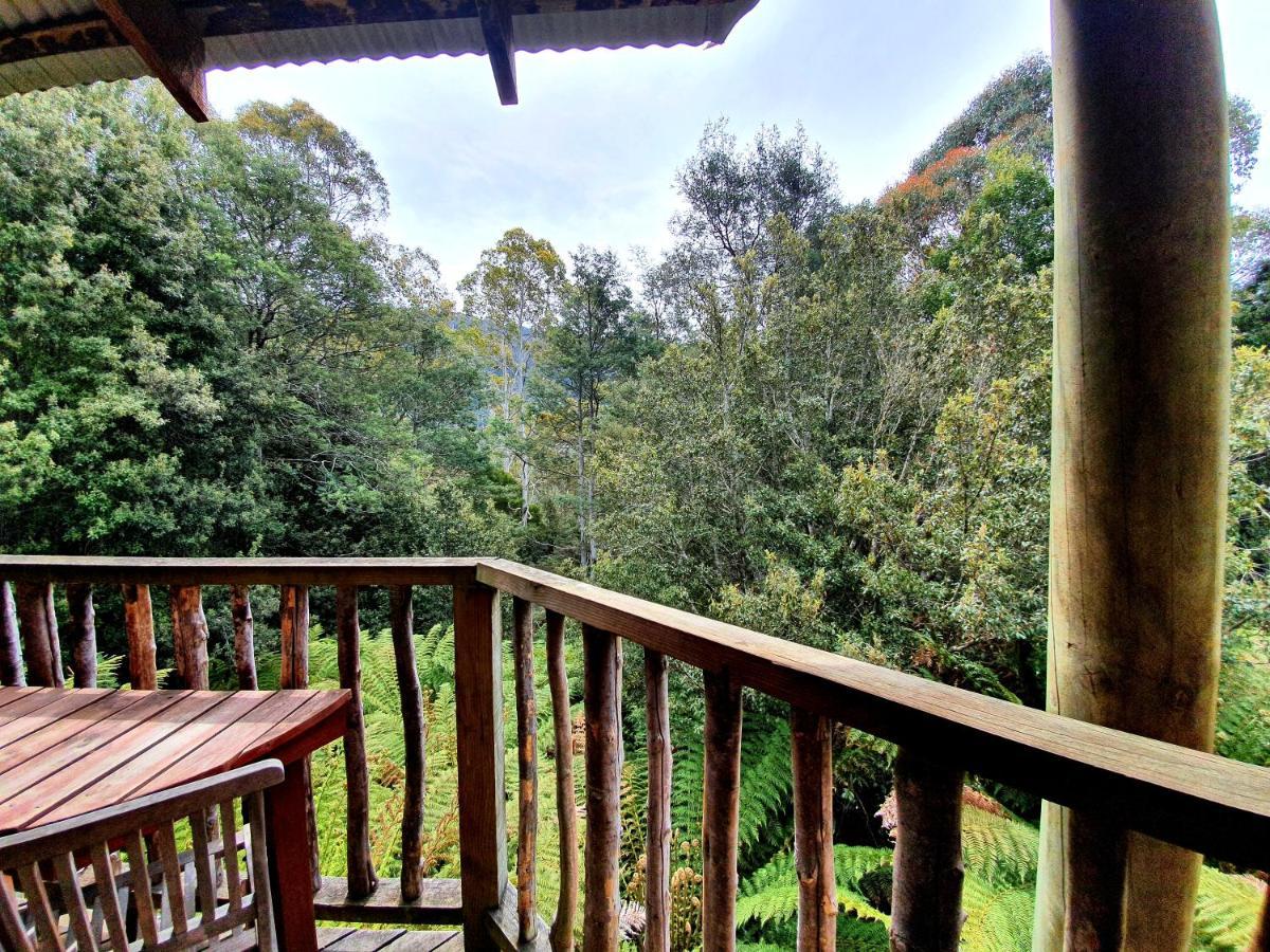 Lemonthyme Wilderness Retreat Hotel Moina Ngoại thất bức ảnh